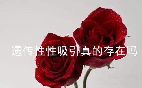 遗传性性吸引真的存在吗46809