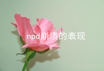 npd崩溃的表现46821