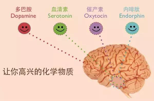 新闻稿982_副本5_副本66_副本.jpg