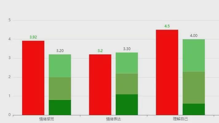  家庭关怀度指数测评表（PAGAR）柱状图